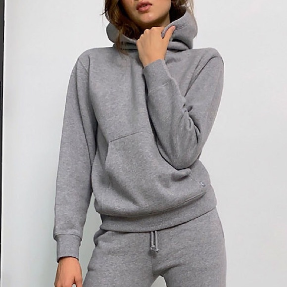 Aritzia Sweaters - Aritzia TNA Grey Perfect Hoodie